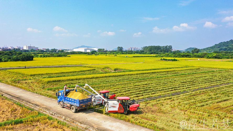 【在希望的田野上】各地抢抓农时有序推进农业生产